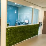 mospaneel green in kantoorruimte