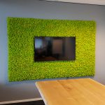 mospaneel van rendiermos met ingebouwde televisie in kleur springgreen