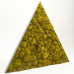 driehoeking mosschilderij met bolmos in kleur springgreen