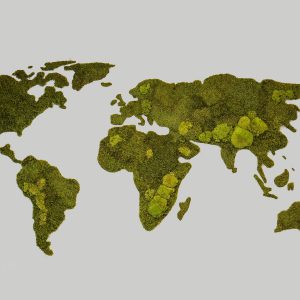 wereldkaart van mos