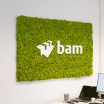 Mosschilderij Logo BAM Rendiermos Lente Groen