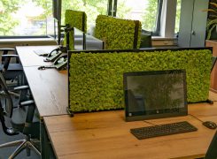 Akoestisch bureauscherm van mos: natuur op kantoor. Sfeervol & veilig werken