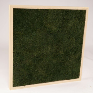 Mosschilderij 60×60 cm. platmos ‘MossGreen’ blank houten lijst
