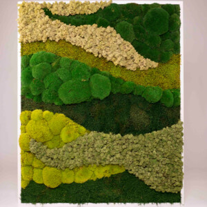 Mosschilderij Organic golvend witte lijst 100×120 cm