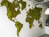 wereldkaart van mos tegen muur