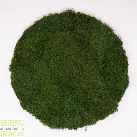 mosschilderij-platmos-forest-green-rond-60-cm.